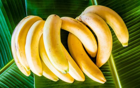 10种能帮助人提高能量水平的食物