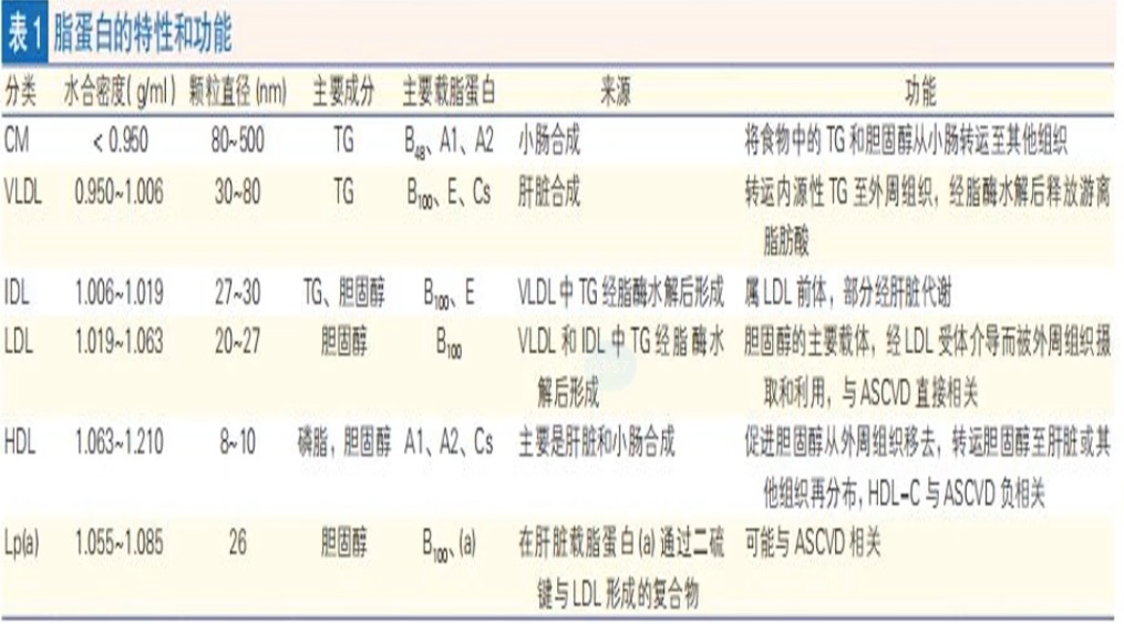 关于血脂，你需要了解哪些知识？