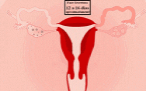 为什么女性到了一定年龄会绝经吗？