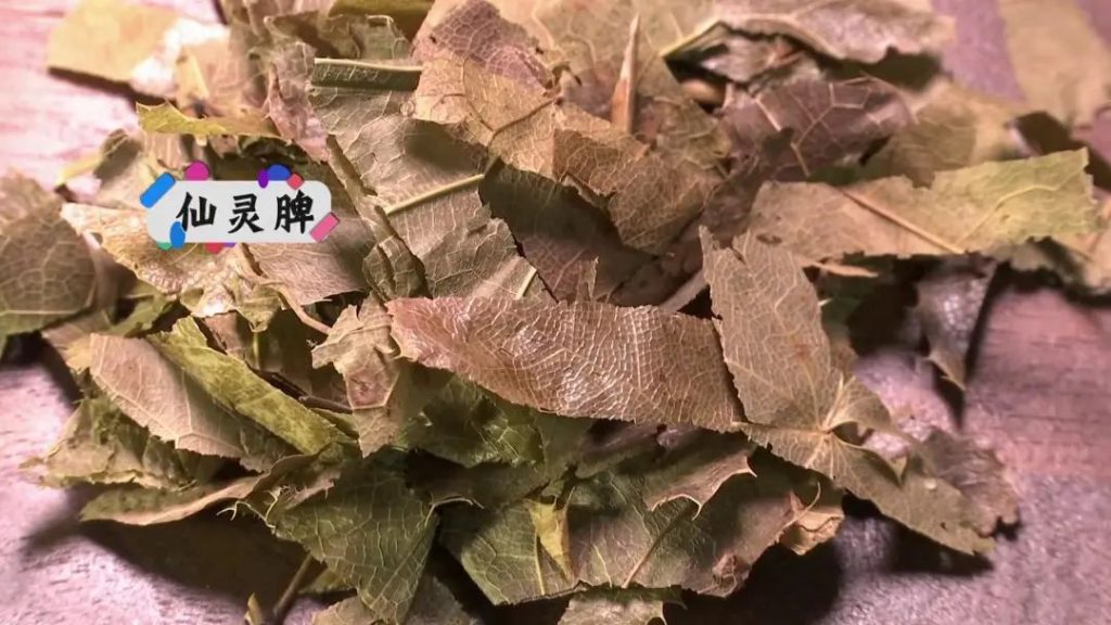 骨质疏松引起腰背酸痛？营养补骨汤＋按摩，补肝肾强筋骨！
