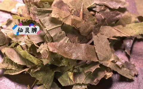 骨质疏松引起腰背酸痛？营养补骨汤＋按摩，补肝肾强筋骨！