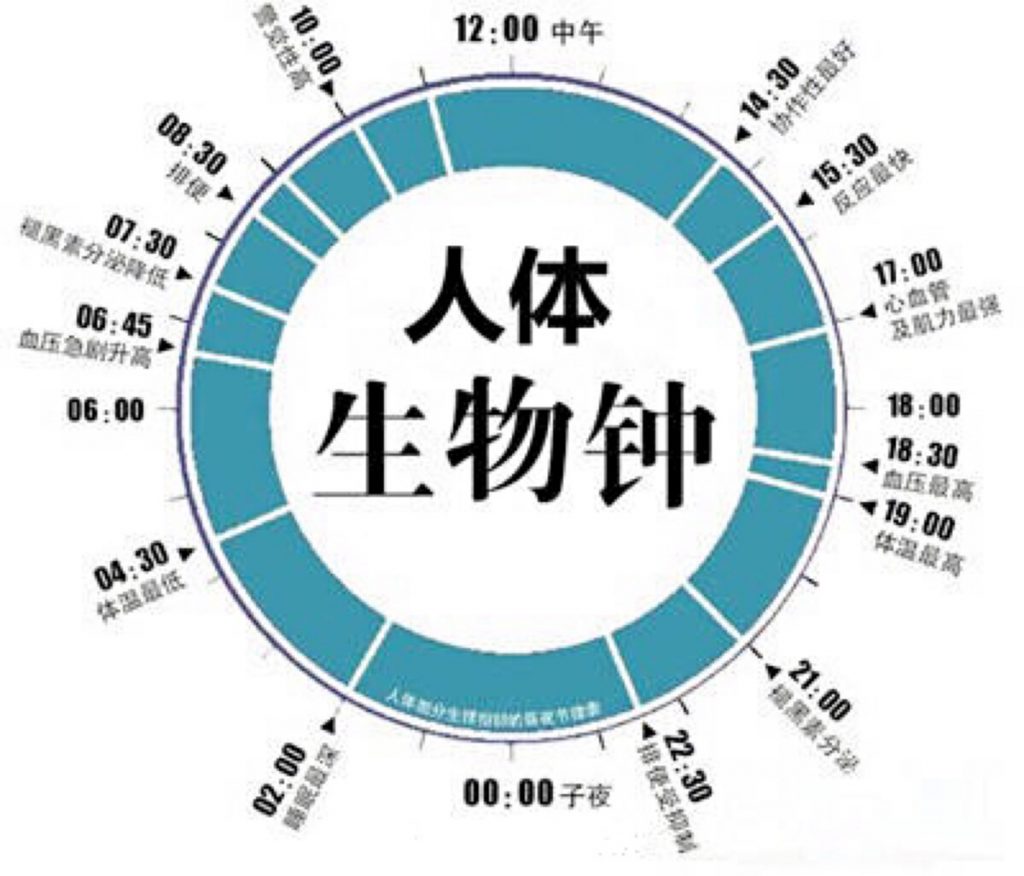 生物钟紊乱，会不会引起肠胃不好？