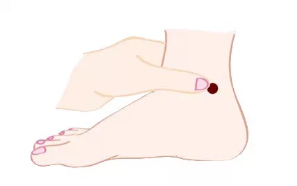 如何调理这四种体质的女人?