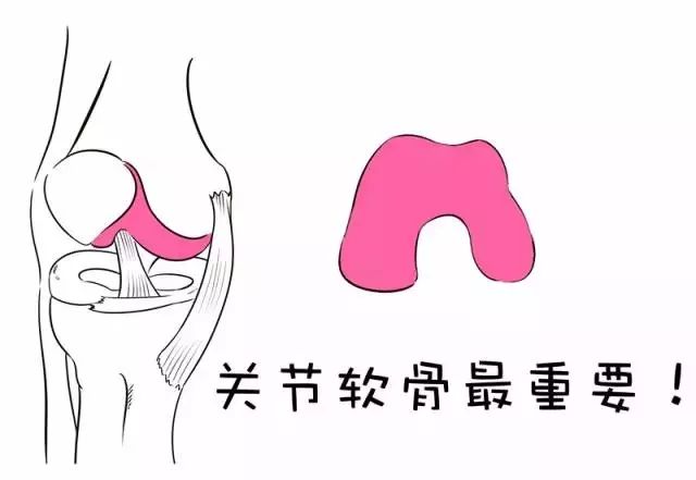 关于膝盖疼痛，你了解多少？