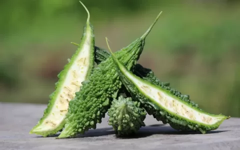 吃苦瓜会不会导致骨质疏松？能不能降血糖？