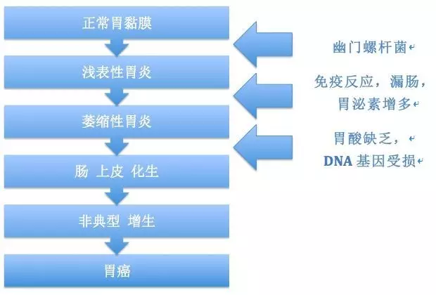 感染幽门螺杆菌，会不会传染给家人？