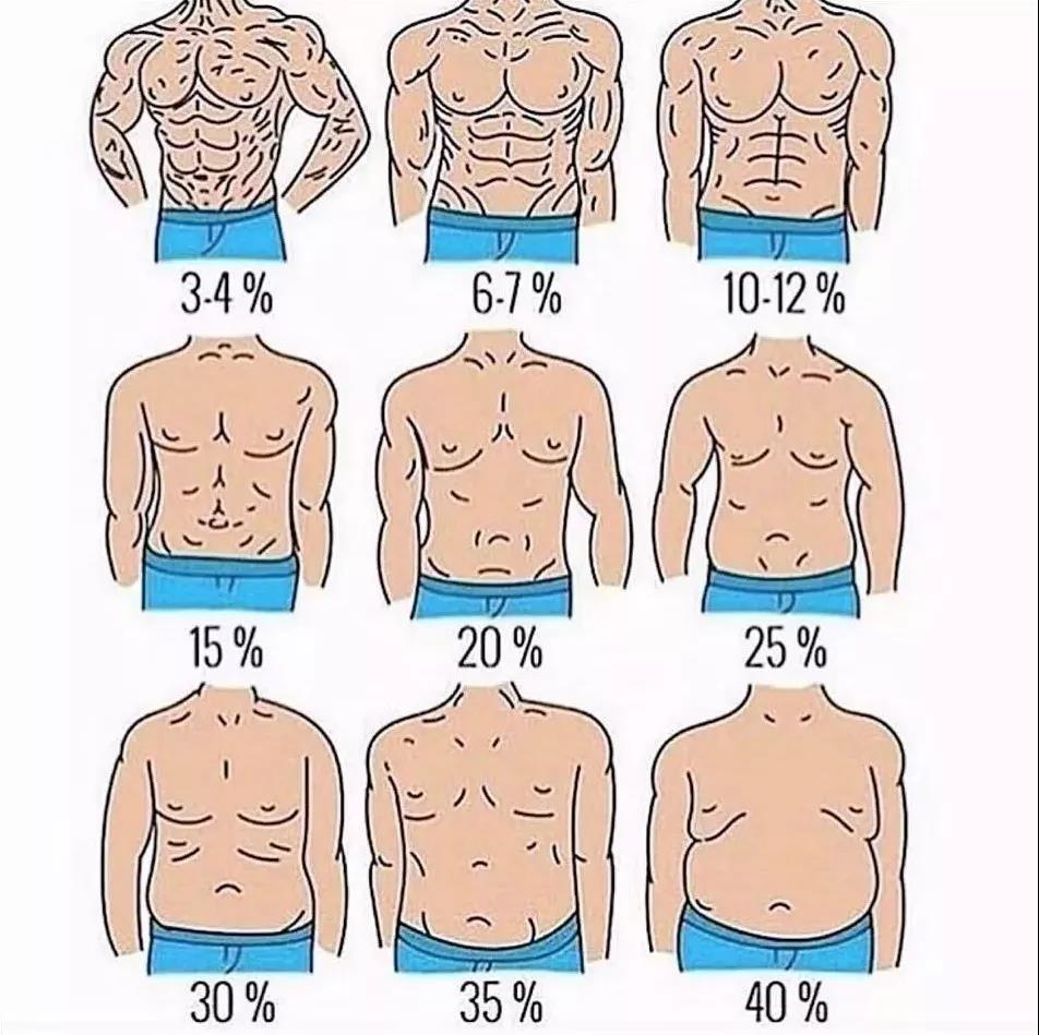 健身的这几个知识点让你更好更快练出好身材