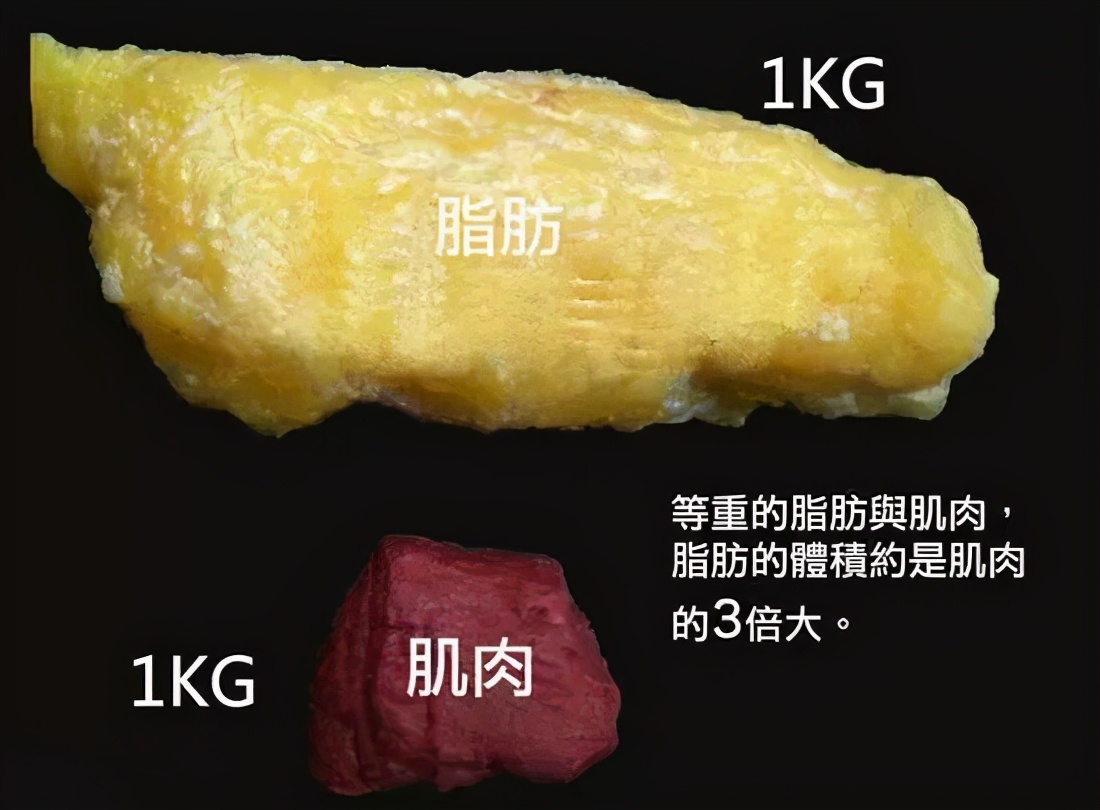 健身的这几个知识点让你更好更快练出好身材