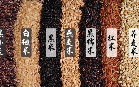 如何合理的营养搭配健康饮食？