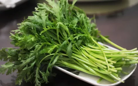 茼蒿调肝养脾，早餐吃茼蒿，更好！