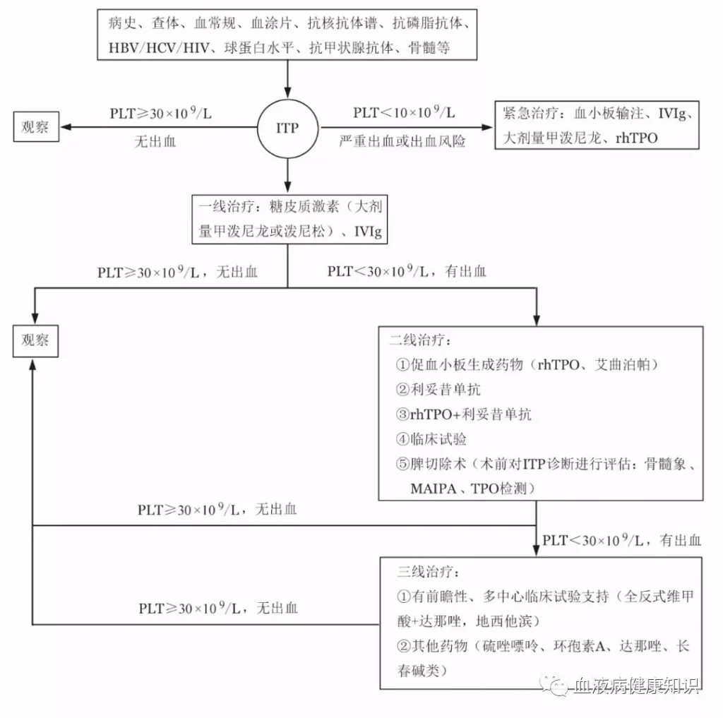 成人原发免疫性血小板减少症（ITP）的诊断与治疗指南