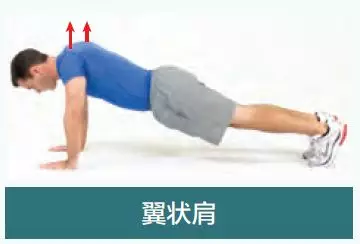 为什么俯卧撑有的人越练越废?(俯卧撑到底怎么做最好?)