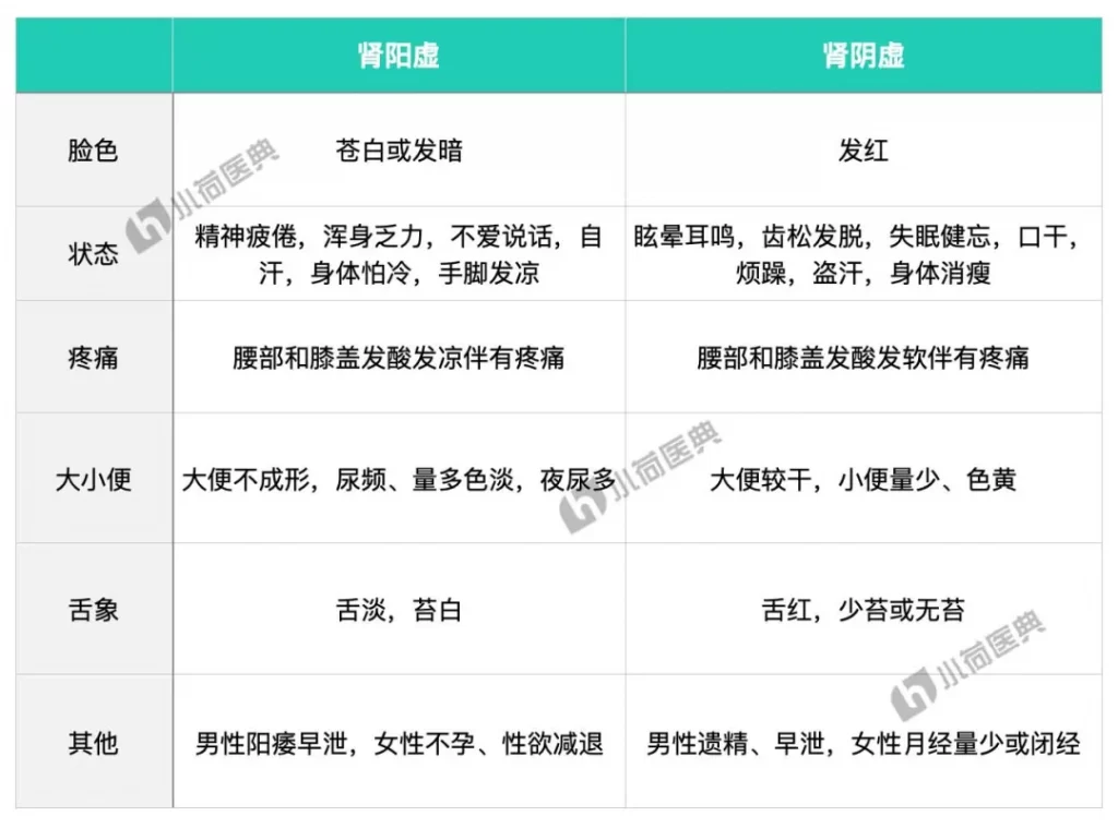 女性也会肾虚吗？