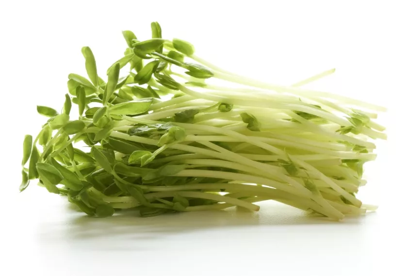 8 种低热量食物,让你轻松瘦10斤!