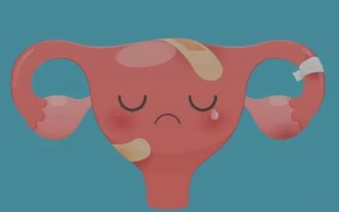 女性子宫内膜薄怎么调理？