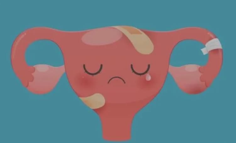 女性子宫内膜薄怎么调理?