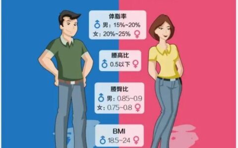 男女不同年龄段标准腰围是多少？