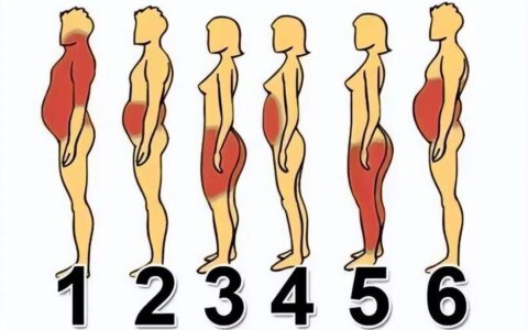降低内脏脂肪的3个方法，助你缩小腰围恢复平坦小腹