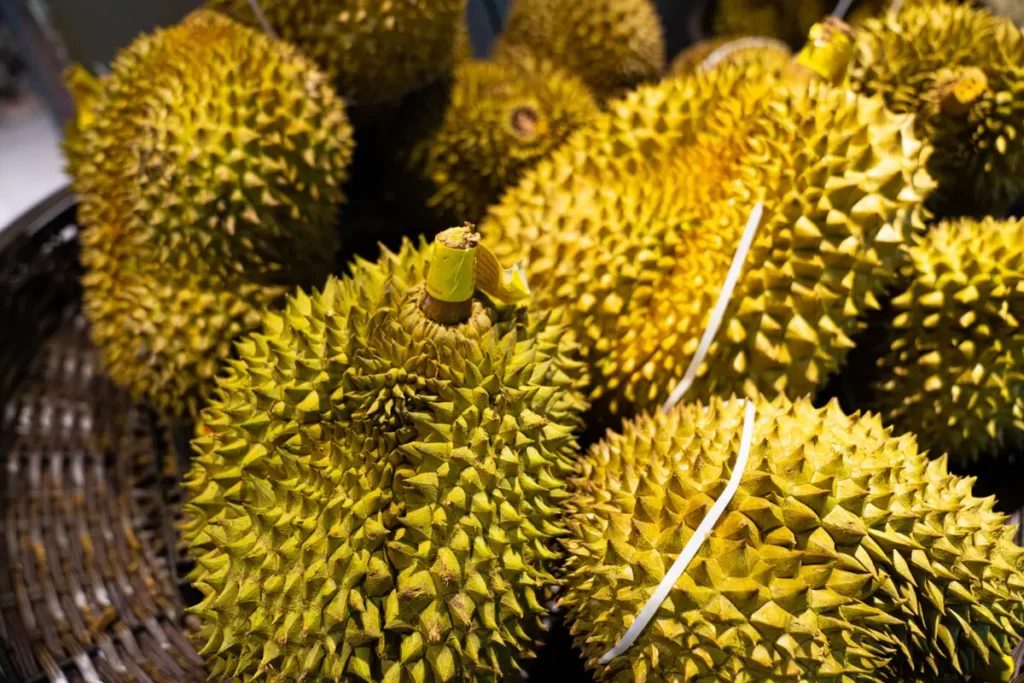 夏天应该多吃的4种水果，活血化瘀、消食化痰、止咳润肺