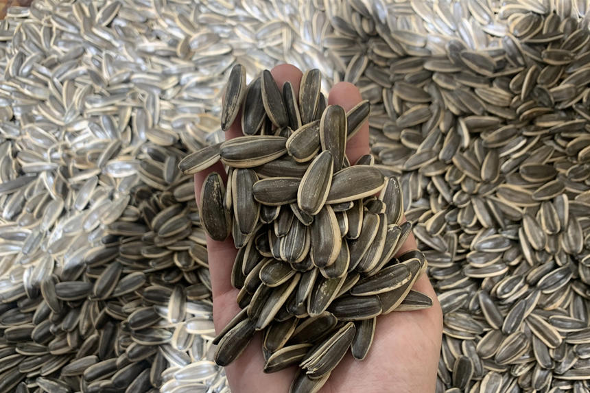 痛风患者可以吃瓜子吗？