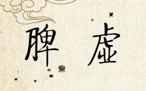 轻度、中度、重度的脾虚应该怎么调理？