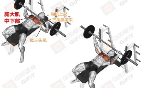 健身新手应该天天练，还是隔天练？