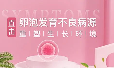 卵泡发育不好，该怎么改善？