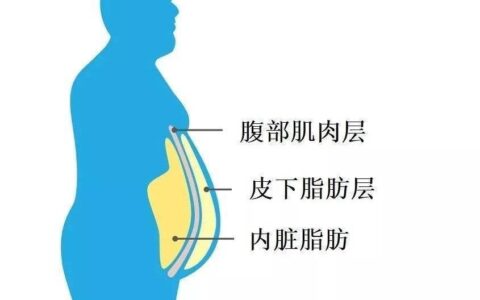 88公斤胖子的减肥经历：怎样才能减掉大肚腩？