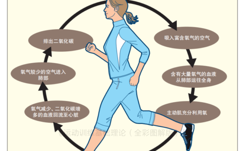 你适合什么样的有氧运动和强度？