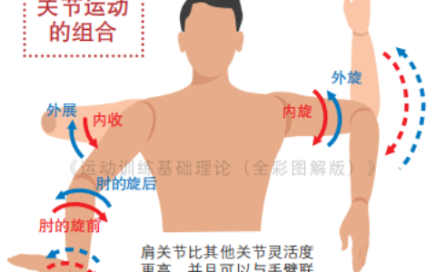 如何有效提高身体运动效率？