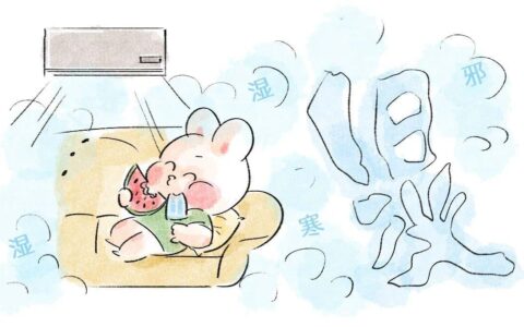 秋天如何贴秋膘！补津液、养气血、养脾胃？