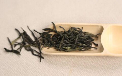 蒲公英和金银花泡水喝有什么好处？