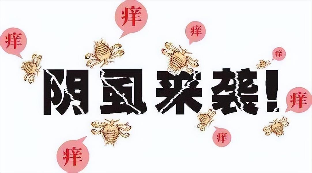 阴虱是什么？为什么现在很多人得阴虱？