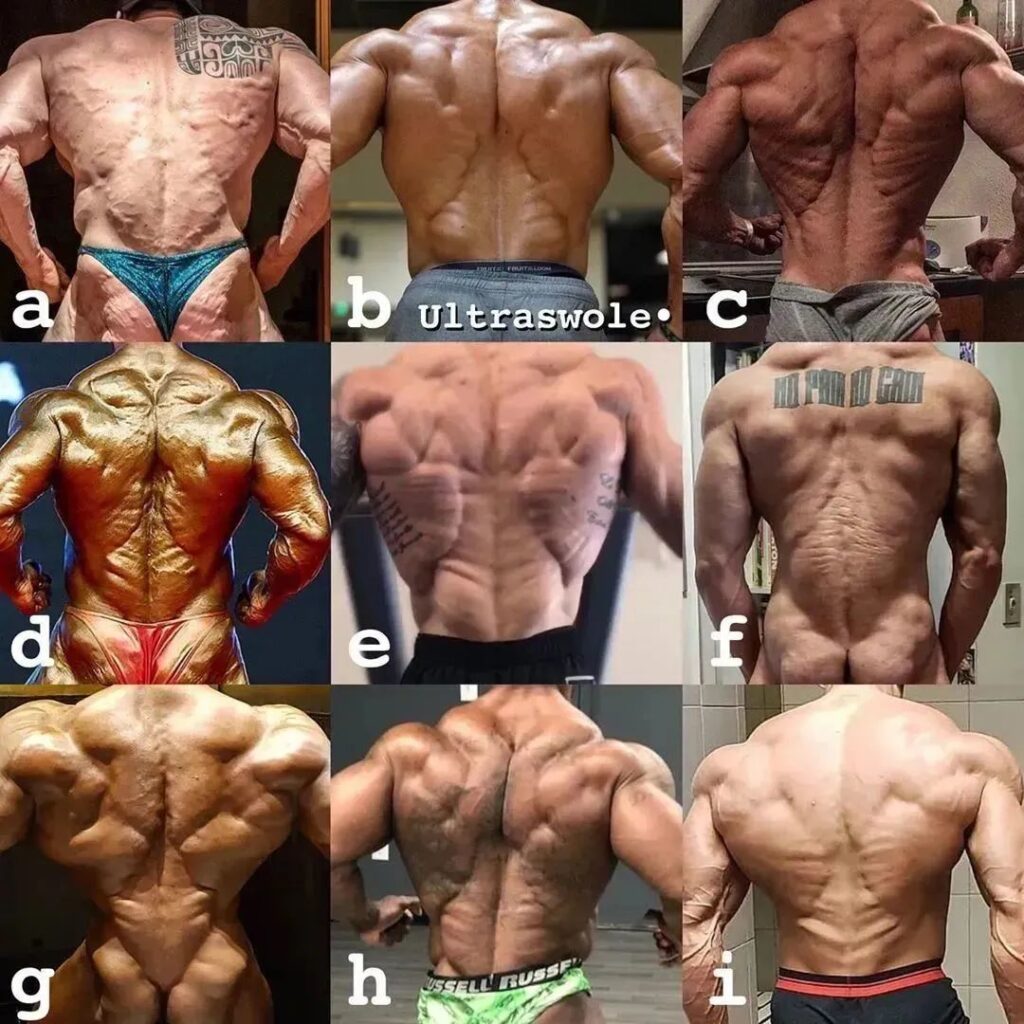 男人身上哪块肌肉最性感?