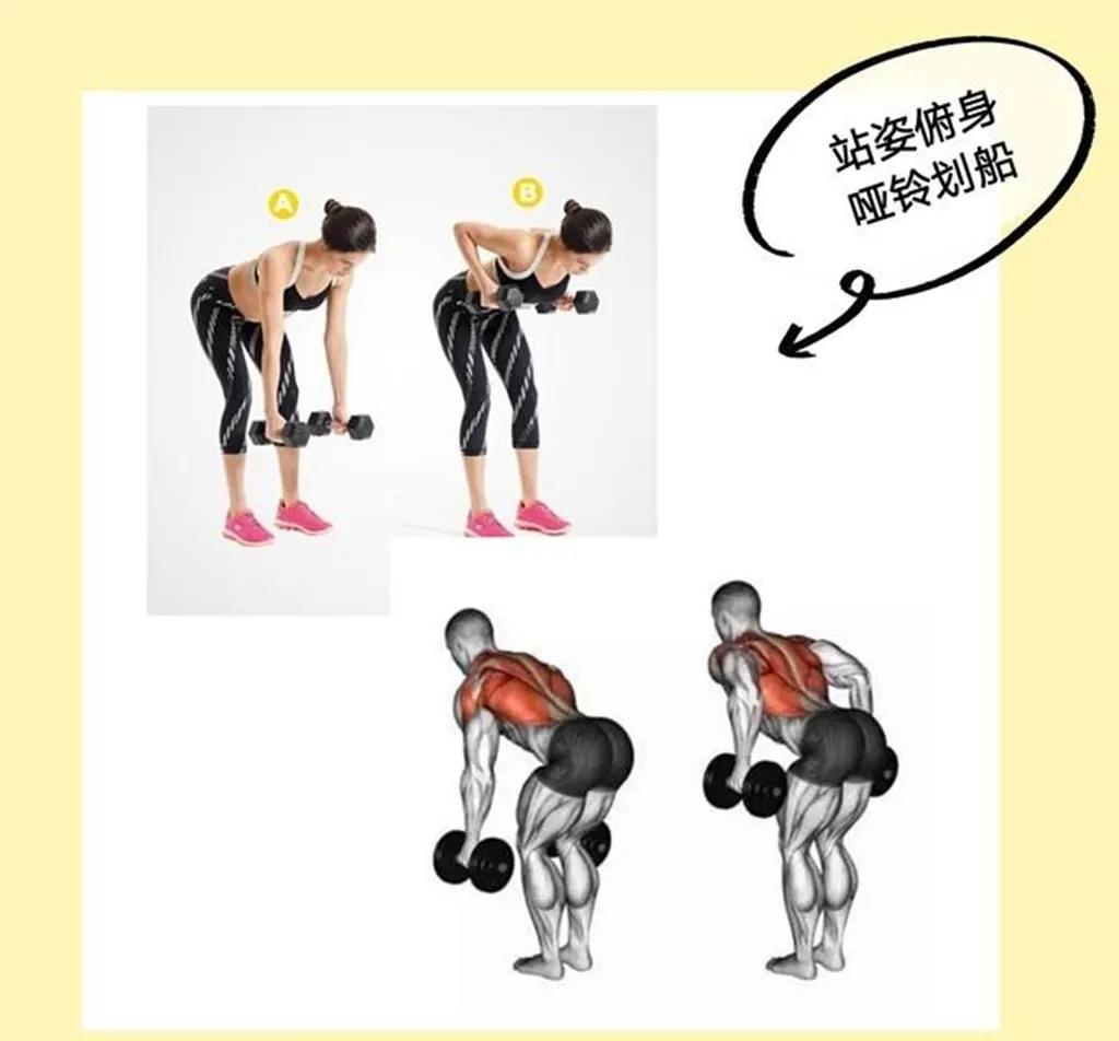 在家如何用哑铃减肥？