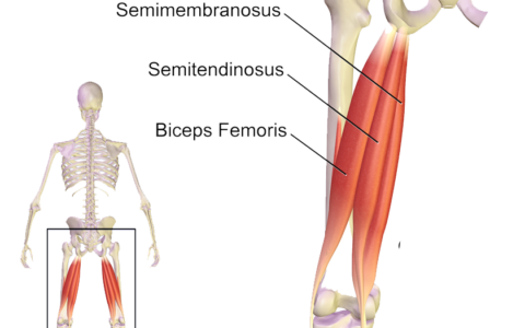 10个瑜伽动作解决大腿内侧肉多，松弛下垂
