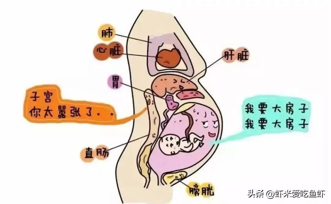孕期便秘怎么办？几招教你解决孕期便秘