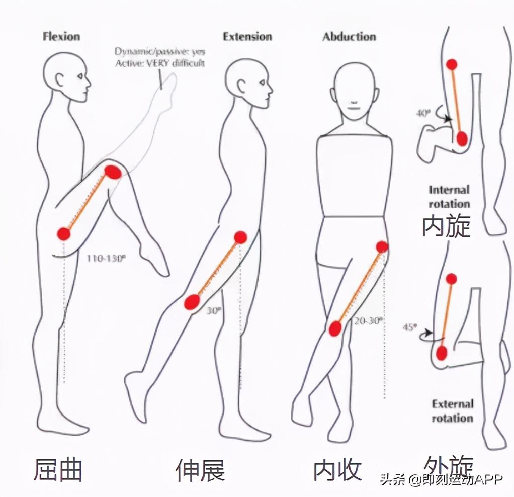 腰疼、膝盖痛的真正原因是什么？