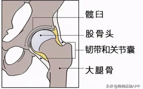 腰疼、膝盖痛的真正原因是什么？