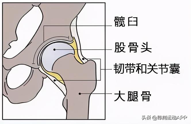 腰疼、膝盖痛的真正原因是什么？