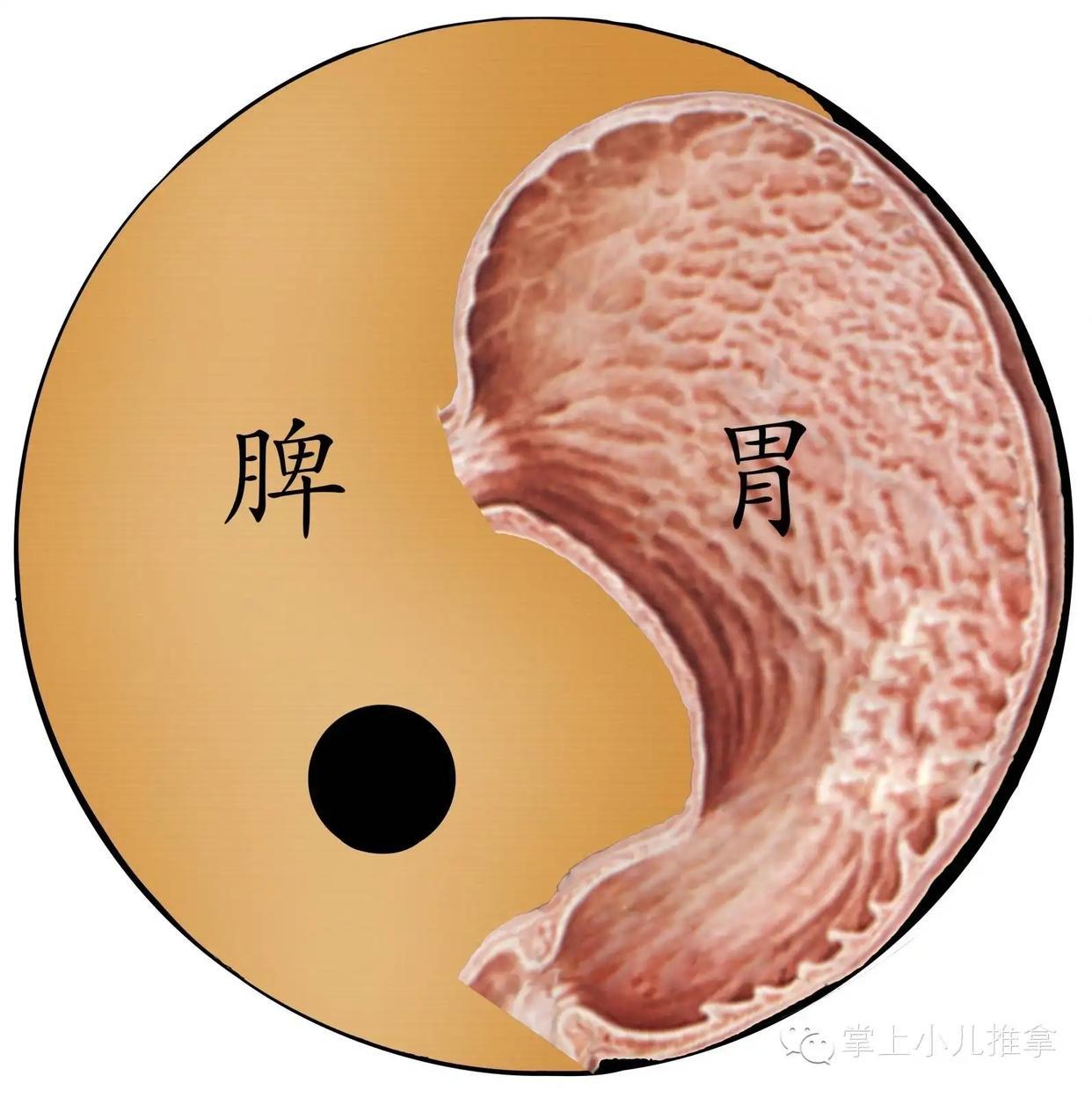 脾虚的人，身体或有这5种变化