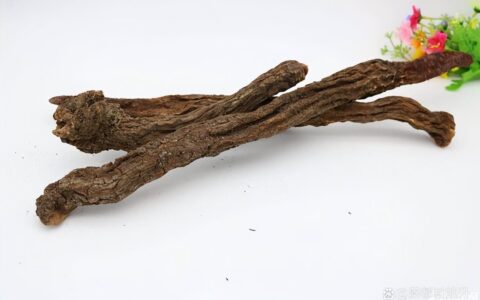 如何生精？三肾丸，阴阳双补，让你肾气凌人，腰好命更长