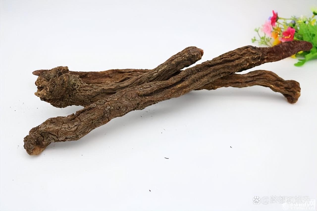 如何生精？三肾丸，阴阳双补，让你肾气凌人，腰好命更长