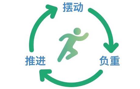 跑圈最大骗局：根本没有所谓的标准跑步姿势