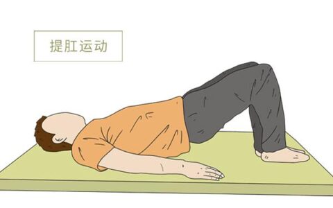 坚持做提肛运动对肛肠、泌尿、生殖系统都有好处
