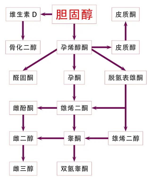 比牛肉更好的健身食材：器官肉，高蛋白且营养丰富