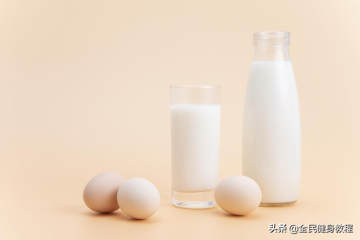 蛋白粉是什么？蛋白粉什么人都可以吃吗？